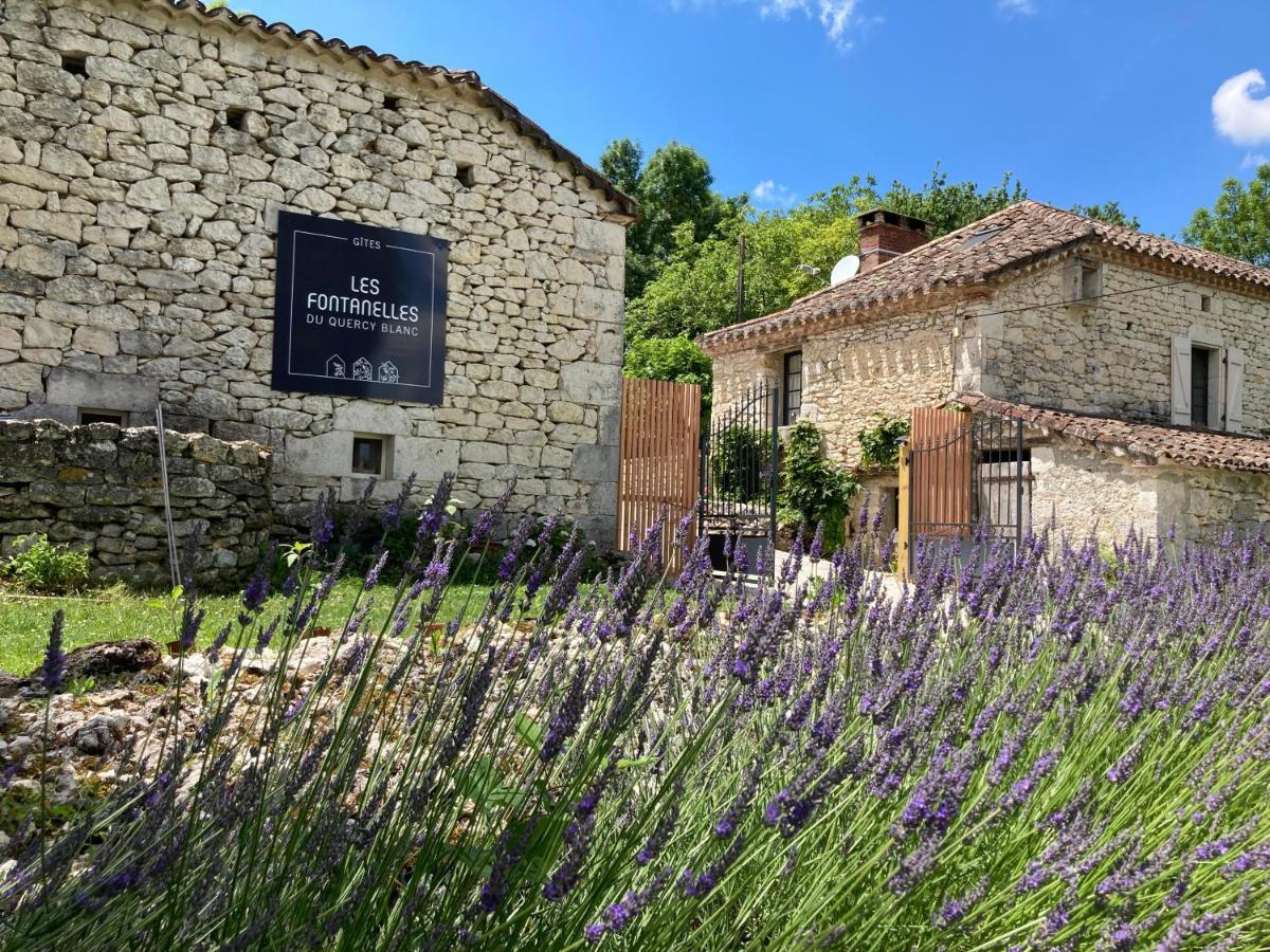 Montcuq Les Fontanelles Du Quercy Blancヴィラ エクステリア 写真