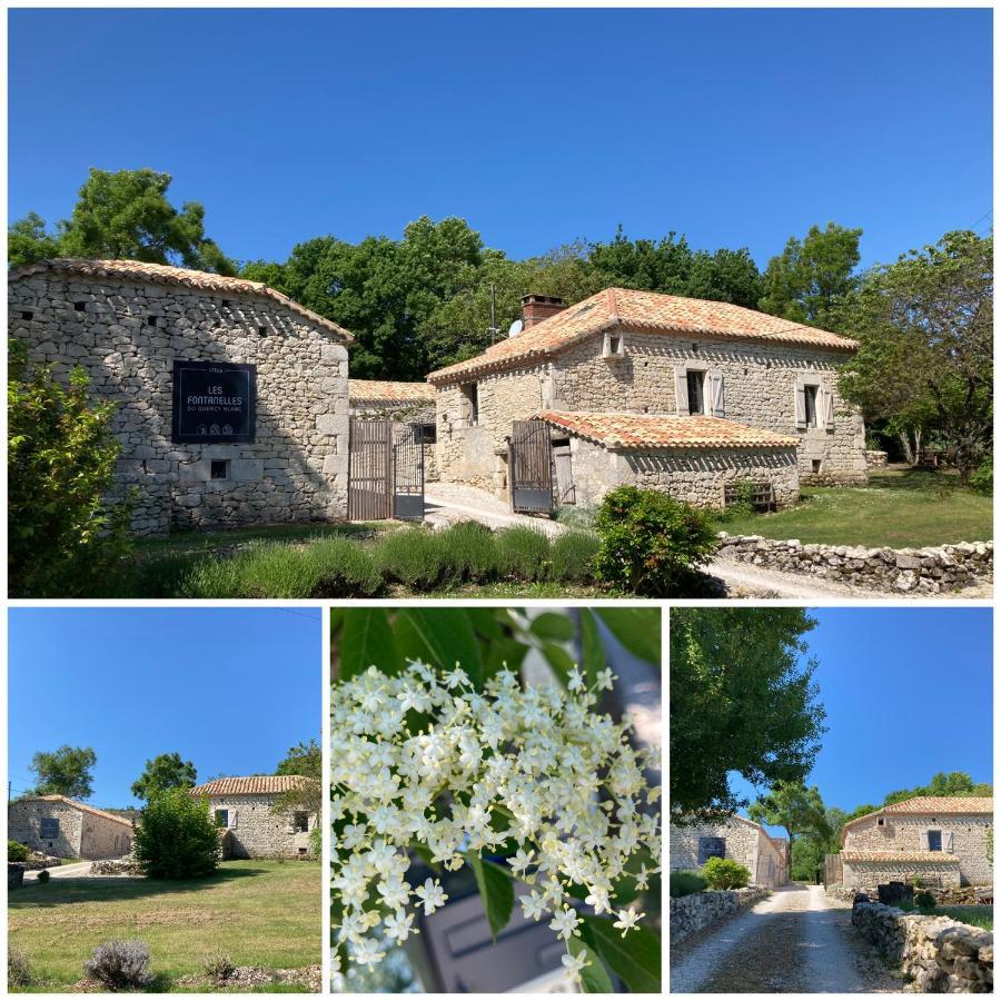 Montcuq Les Fontanelles Du Quercy Blancヴィラ エクステリア 写真