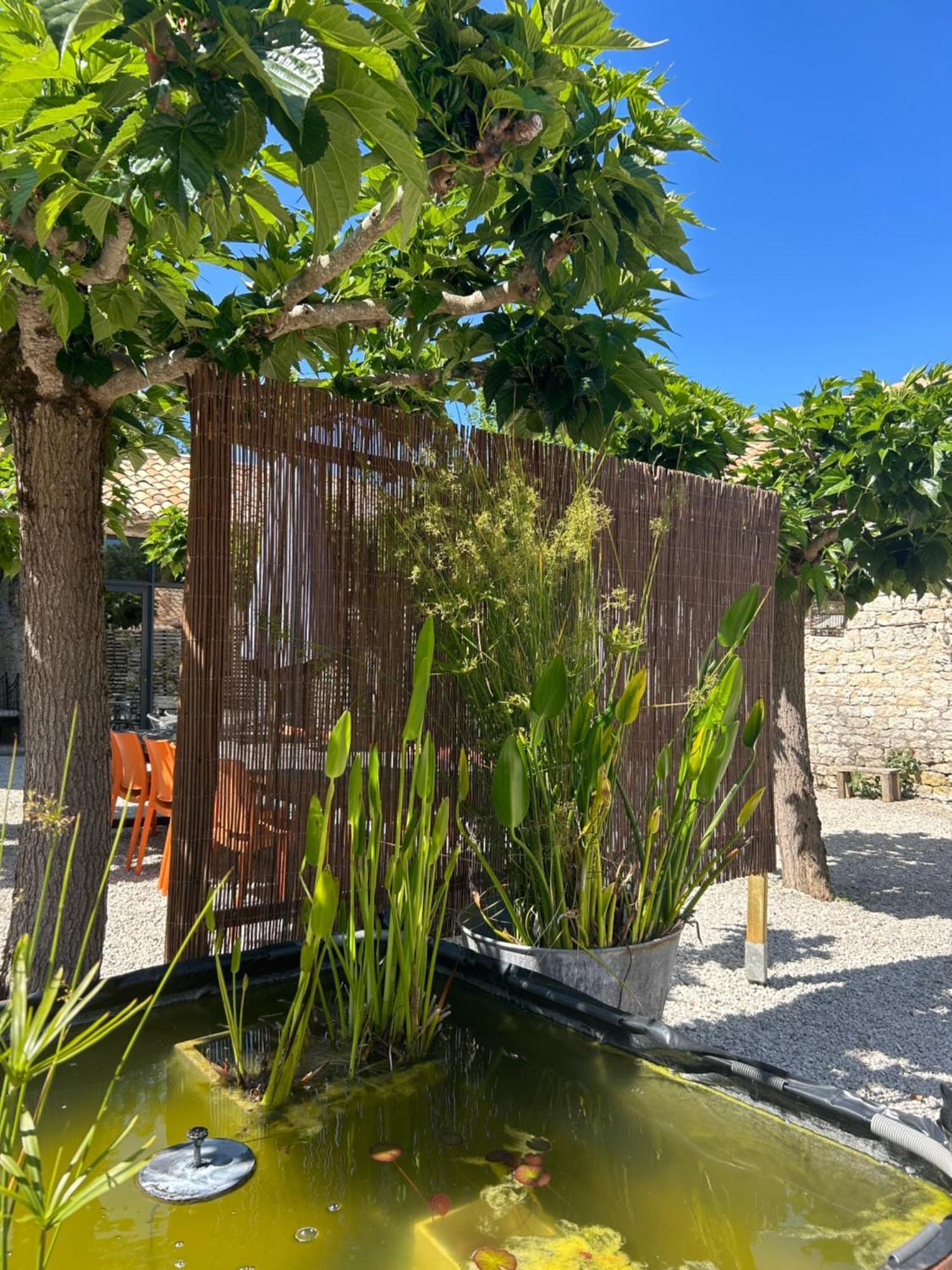 Montcuq Les Fontanelles Du Quercy Blancヴィラ エクステリア 写真